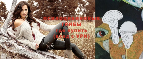 соль ск Горняк