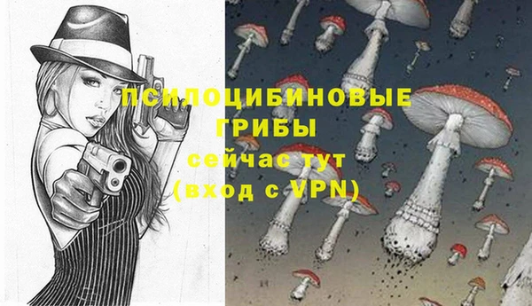 дурь Гусь-Хрустальный