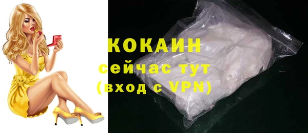соль ск Горняк