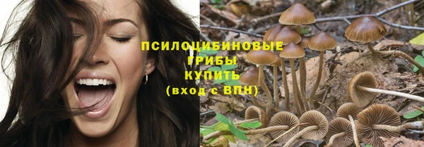 прущая мука Горнозаводск
