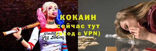 соль ск Горняк