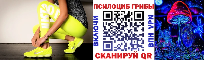 Псилоцибиновые грибы GOLDEN TEACHER Моршанск