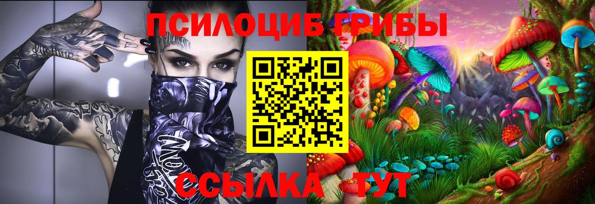 Галлюциногенные грибы мухоморы  Моршанск  Псилоцибиновые грибы мухоморы 